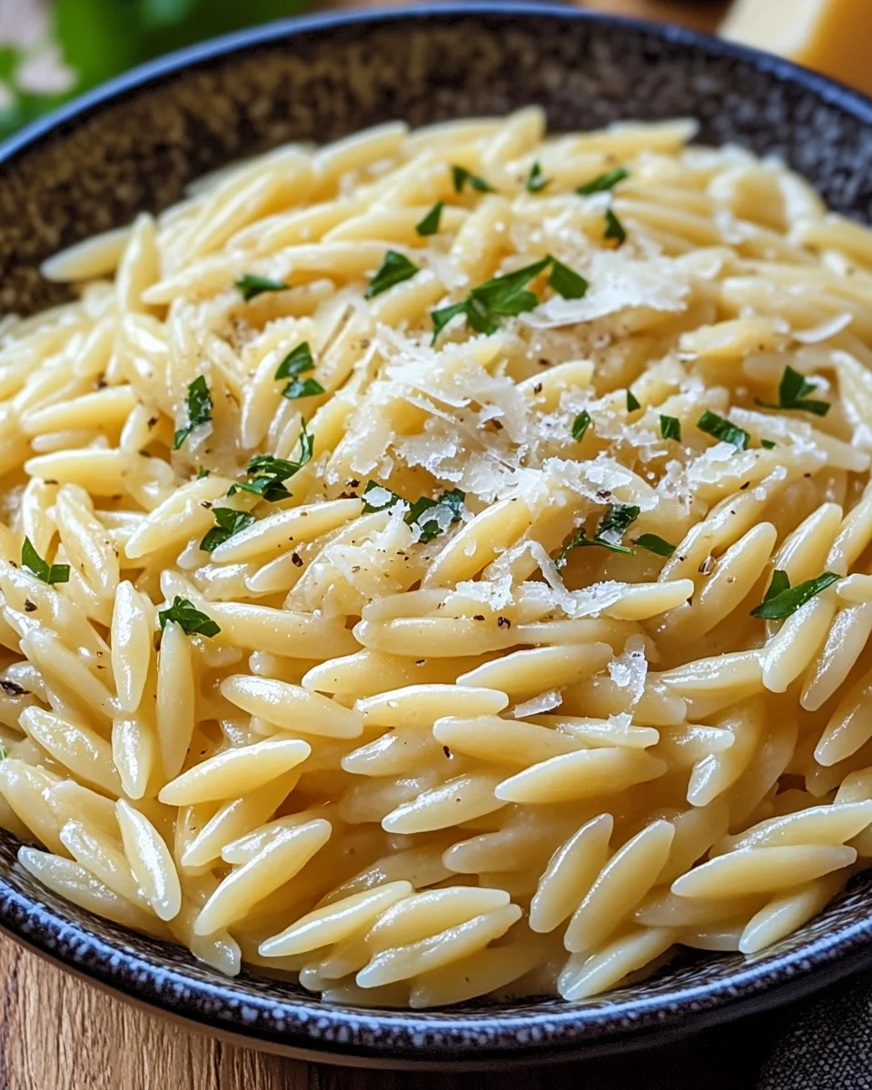 Cremige Orzo-Nudeln mit Knoblauch und Parmesan 16 Cremige